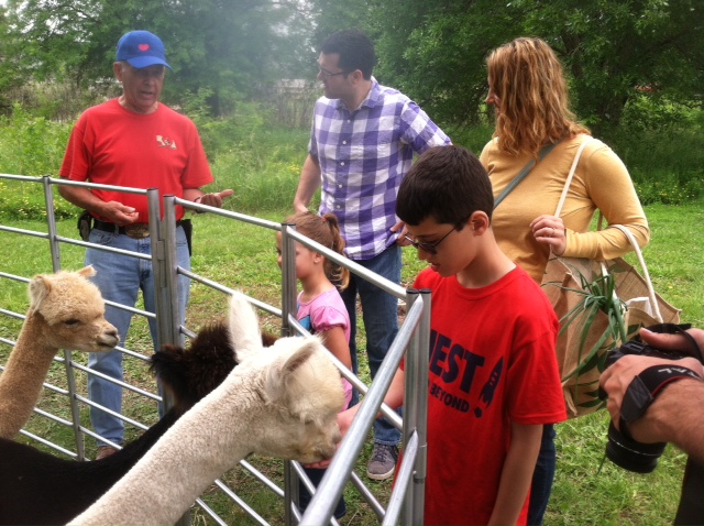 Image - Alpacas of the Heartland